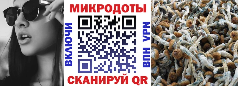 Псилоцибиновые грибы Magic Shrooms  купить  цена  Багратионовск 